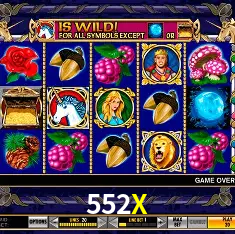 552X bet — painel ao vivo com cotações dinâmicas